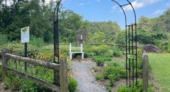 Enhance Your Garden with the Elegant Garden Arbor Arch